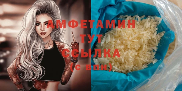 молекула духа Алзамай