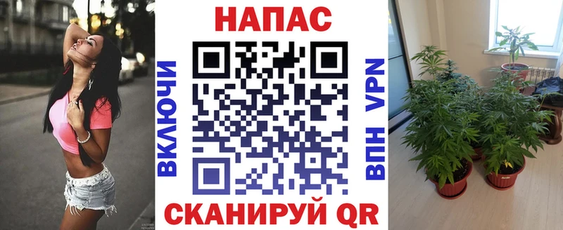 Марихуана план  как найти закладки  Хадыженск 